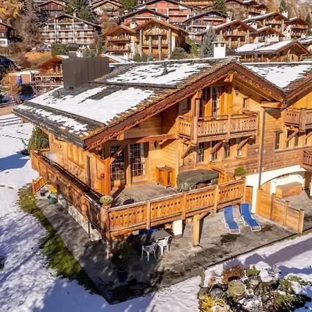 Chalet Vista Spacious 4-bedroom Retreat 韦尔比耶